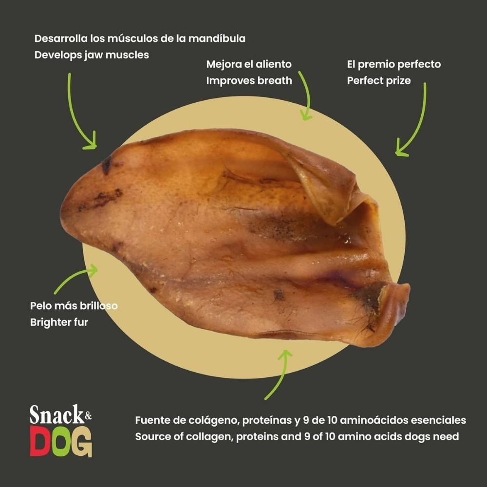 premio para mascotas